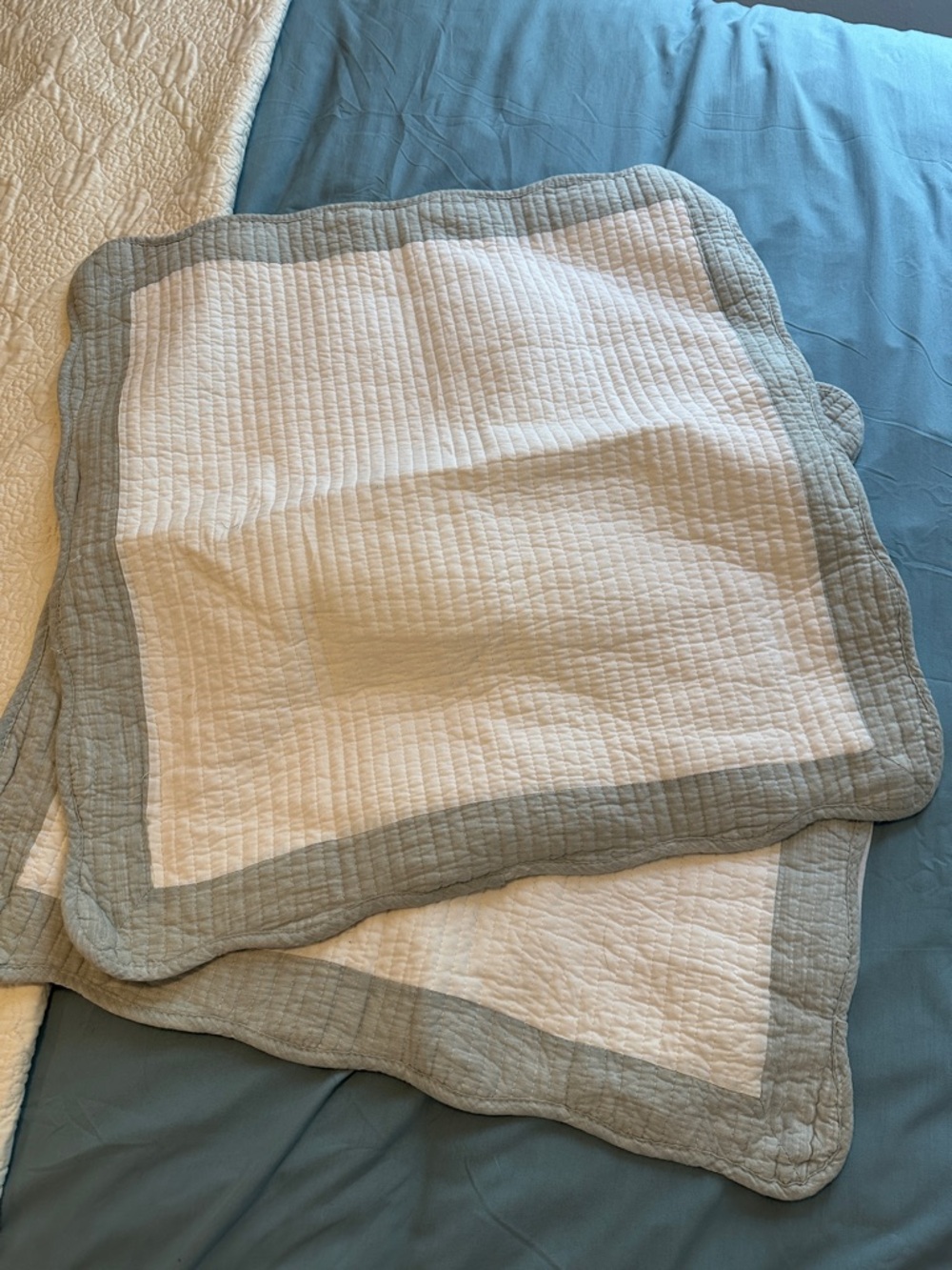 Soft White And Sage Green Quikted EURO Shams 26x 26.